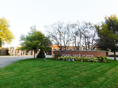 35 Grey Wolf Dr, Wheeling, IL 60090 photo 31