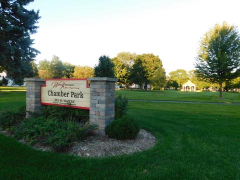35 Grey Wolf Dr, Wheeling, IL 60090 photo 29