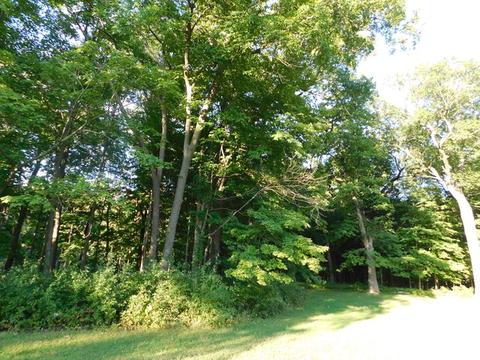 35 Grey Wolf Dr, Wheeling, IL 60090 photo 21