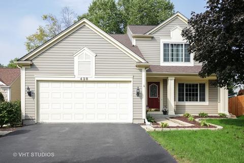 428 Snow Drift Cir, Bartlett, IL 60103 photo 1