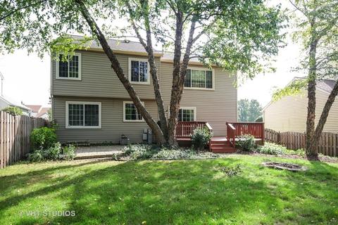 428 Snow Drift Cir, Bartlett, IL 60103 photo 20