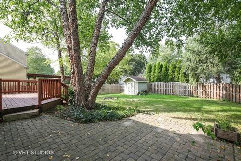 428 Snow Drift Cir, Bartlett, IL 60103 photo 19