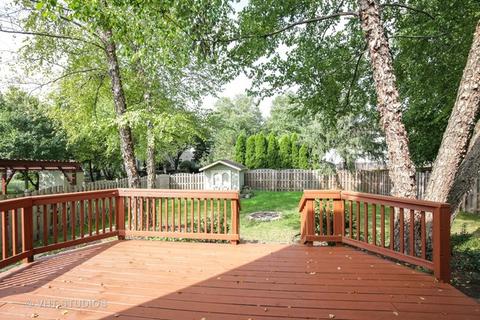 428 Snow Drift Cir, Bartlett, IL 60103 photo 18