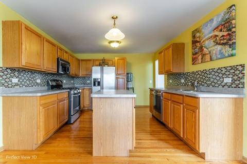 4555 W Iris Ln, Monee, IL 60449 photo 12