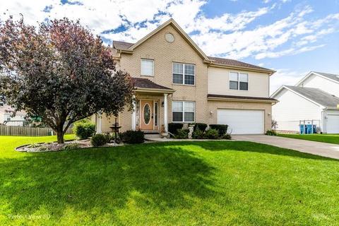 4555 W Iris Ln, Monee, IL 60449 photo 2