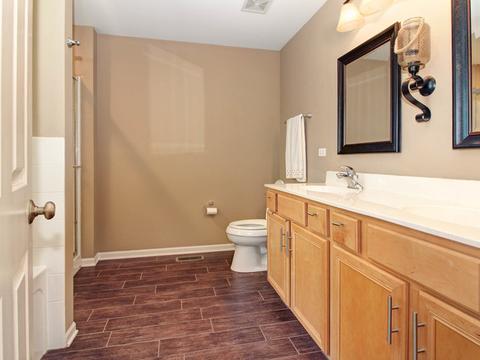 25210 Pastoral Dr, Plainfield, IL 60585 photo 18