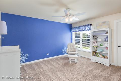 23242 Pilcher Rd, Plainfield, IL 60544 photo 14