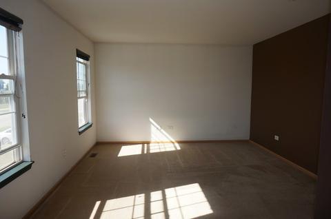 3203 Hoffman Rd, Plano, IL 60545 photo 7