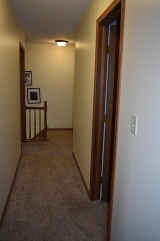 219 Deerhaven Dr, Minooka, IL 60447 photo 20