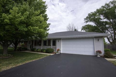 202 Brynn Dr, Manhattan, IL 60442 photo 1