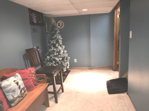 508 Erie St, Spring Valley, IL 61362 photo 13