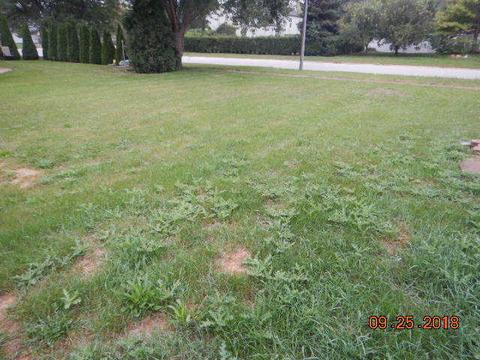 24053 Douglas Dr, Plainfield, IL 60585 photo 4