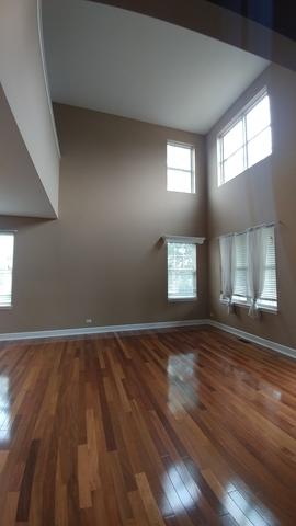 13907 Trillium Ln, Plainfield, IL 60544 photo 4