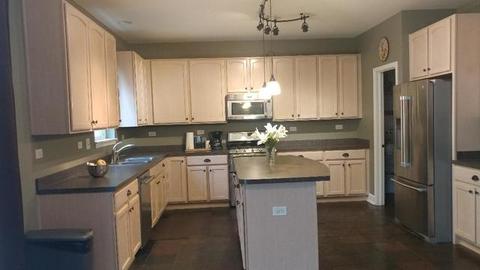 13907 Trillium Ln, Plainfield, IL 60544 photo 5