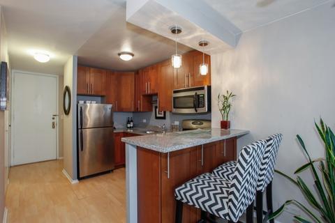 1 E Scott St #912, Chicago, IL 60610 photo 4