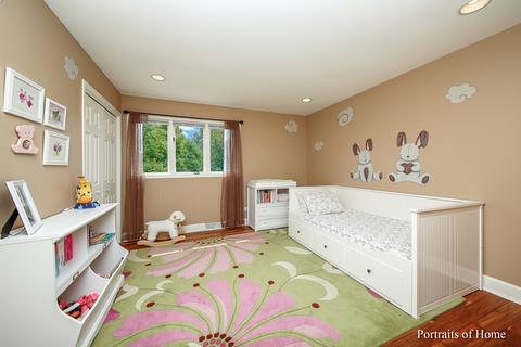 13103 Red Dr, Lemont, IL 60439 photo 17