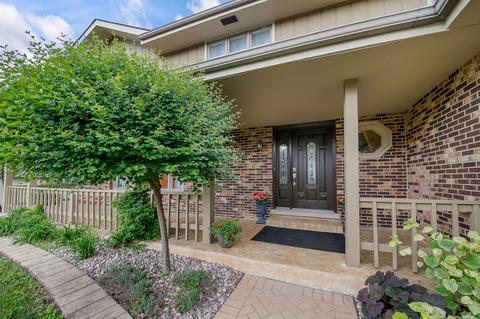 13103 Red Dr, Lemont, IL 60439 photo 1