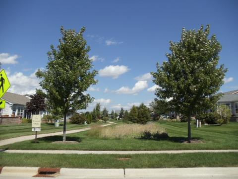 829 Rambling Brook Cir, Elgin, IL 60124 photo 20