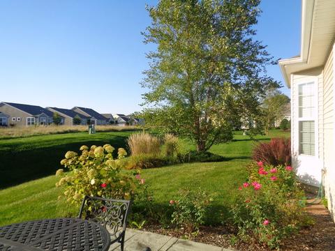 829 Rambling Brook Cir, Elgin, IL 60124 photo 3