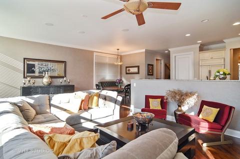 1428 S Emerald St, Chicago, IL 60607 photo 13