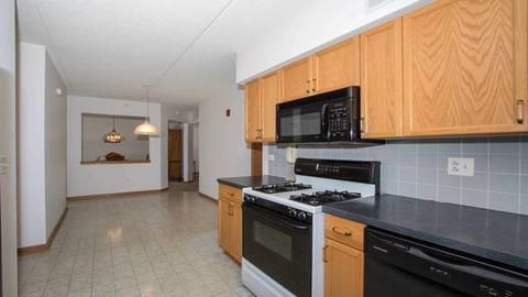 1477 E Thacker St #307, Des Plaines, IL 60016 photo 7