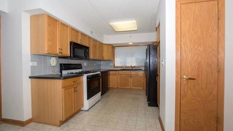 1477 E Thacker St #307, Des Plaines, IL 60016 photo 5