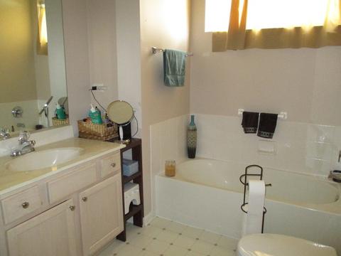 21105 W Aspen Ln, Plainfield, IL 60544 photo 11