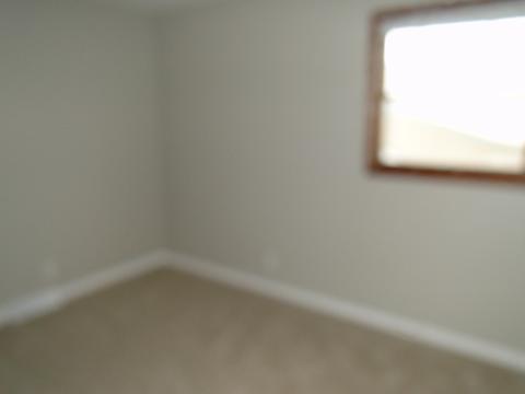 121 Heritage Dr, Minooka, IL 60447 photo 21
