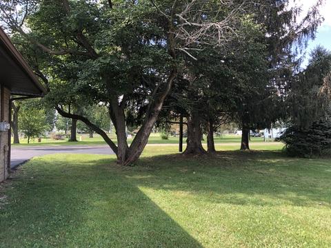 230 Paris St, Dewitt, IL 61735 photo 36