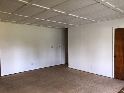 230 Paris St, Dewitt, IL 61735 photo 21
