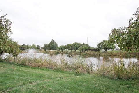 21113 W Covington Dr, Plainfield, IL 60544 photo 15