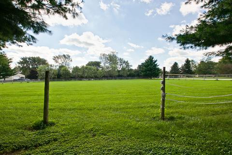 1415 Paddock Rd, Spring Grove, IL 60081 photo 40