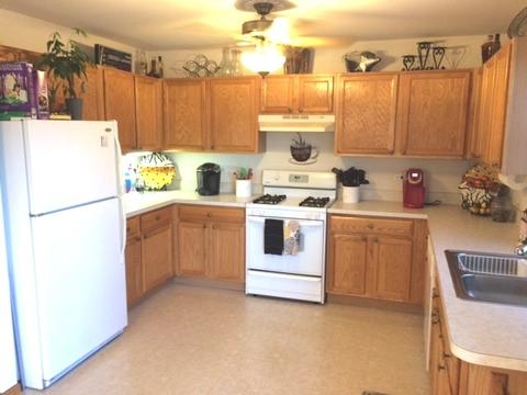 49 Sunrise Ct, Steger, IL 60475 photo 5