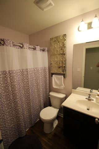 3629 Hyde Park Ct, Elgin, IL 60124 photo 17
