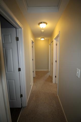 3629 Hyde Park Ct, Elgin, IL 60124 photo 18