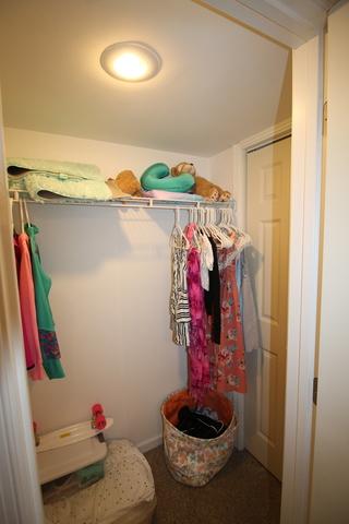 3629 Hyde Park Ct, Elgin, IL 60124 photo 23