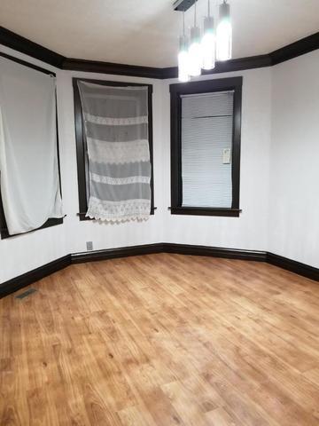 3228 S Hamlin Ave, Chicago, IL 60623 photo 30