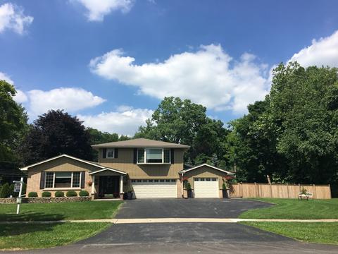 44 E Thorndale Ave, Roselle, IL 60172 photo 1