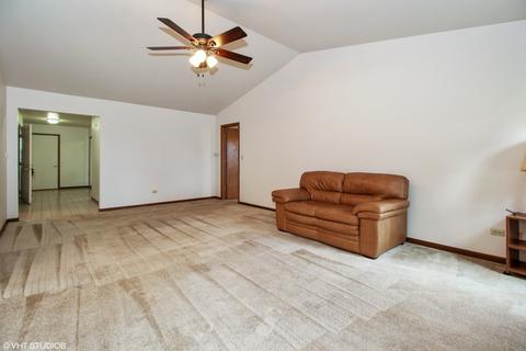 13821 S Mandarin Ct, Plainfield, IL 60544 photo 3