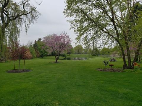 41 W527 Russell Rd, Elgin, IL 60124 photo 3