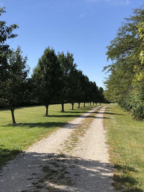 4965 S Old Mazon Rd, Mazon, IL 60444 photo 29