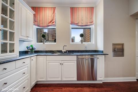 21 Elm St #2D, Chicago, IL 60611 photo 7