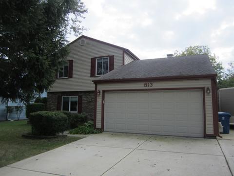 813 W Appletree Ln, Bartlett, IL 60103 photo 2