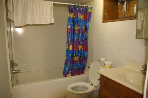 533 E Benton St, Aurora, IL 60505 photo 17