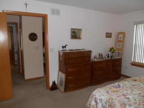 13303 Red Cedar Ln, Plainfield, IL 60544 photo 16