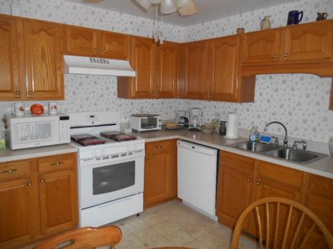 13303 Red Cedar Ln, Plainfield, IL 60544 photo 4