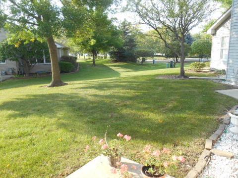 13303 Red Cedar Ln, Plainfield, IL 60544 photo 8