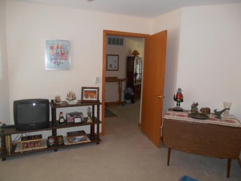 13303 Red Cedar Ln, Plainfield, IL 60544 photo 10