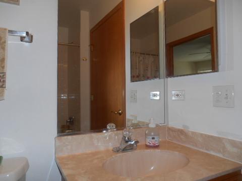 13303 Red Cedar Ln, Plainfield, IL 60544 photo 11
