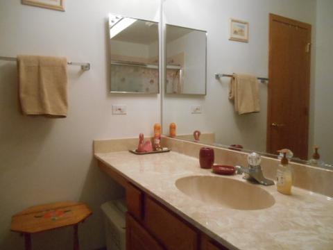 13303 Red Cedar Ln, Plainfield, IL 60544 photo 19